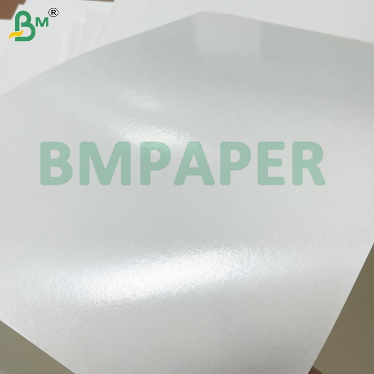 200g 210g Strong Extensibility  White Cup Stock Paper  For Paper Cup Making