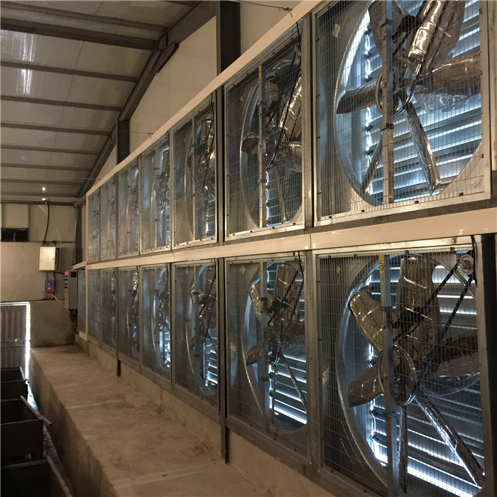 Low Noise Industrial Ventilation Fan , Ball Bearing Controlled Climate Systems