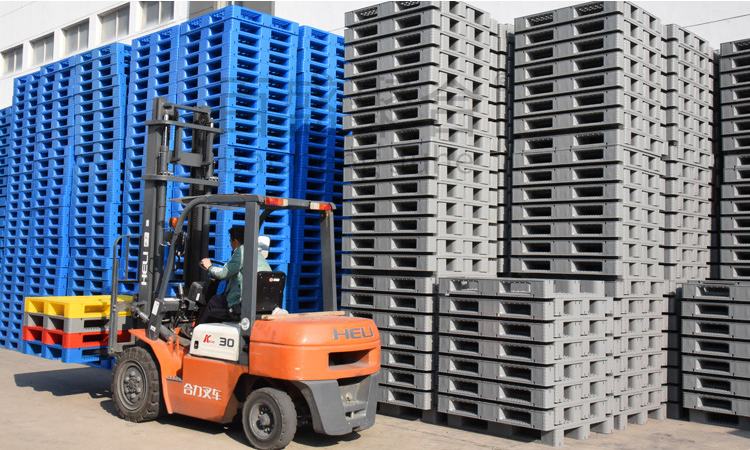 Light Steel Q355 Q235 Walk-in Cold Storage Room 20ft 40ft Container Bending Service
