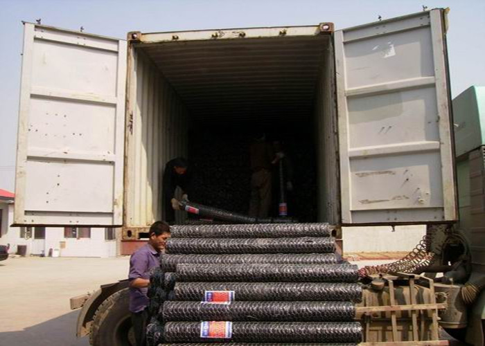 Poultry Fence 50mm BWG19 Reverse Twisted Hexagon Metal Mesh