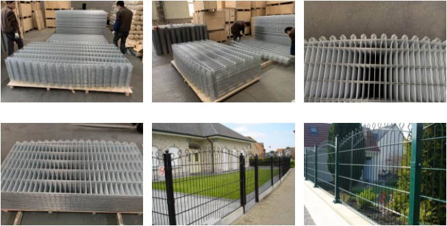 Prestige Mesh 868 Double Wire Fence 50 × 200mm For Decorative