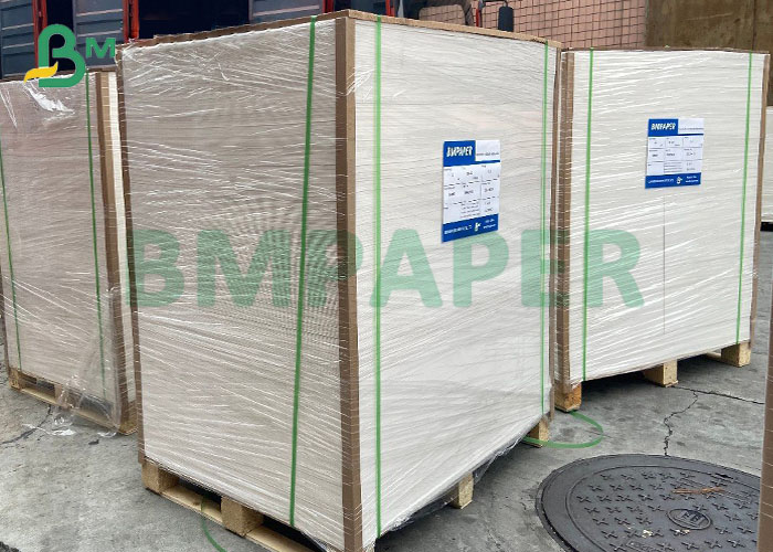 FDA Certified PE Laminated Single Side 300gsm 350gsm White FBB Board Sheets 