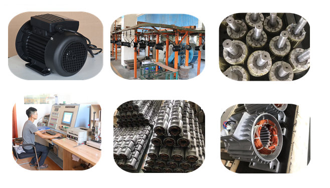 swimming pool pump motor