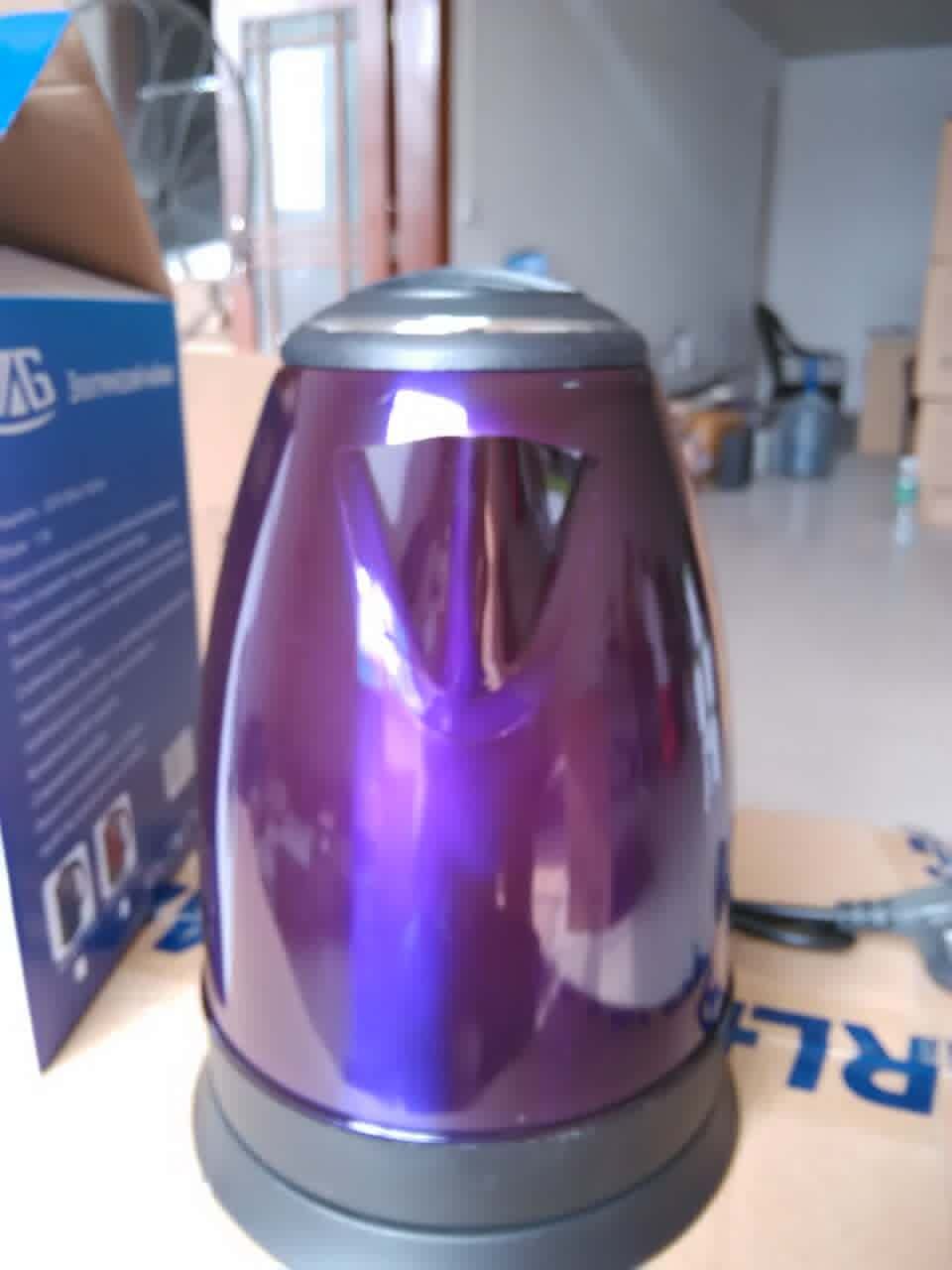 Pgilippines Plug Water Heaters Electric Water Boiler Anti-dry Kettles