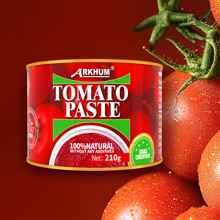 Fast Food Seasoning Umami Tomato Paste French Fries Tomato Ketchup Bag