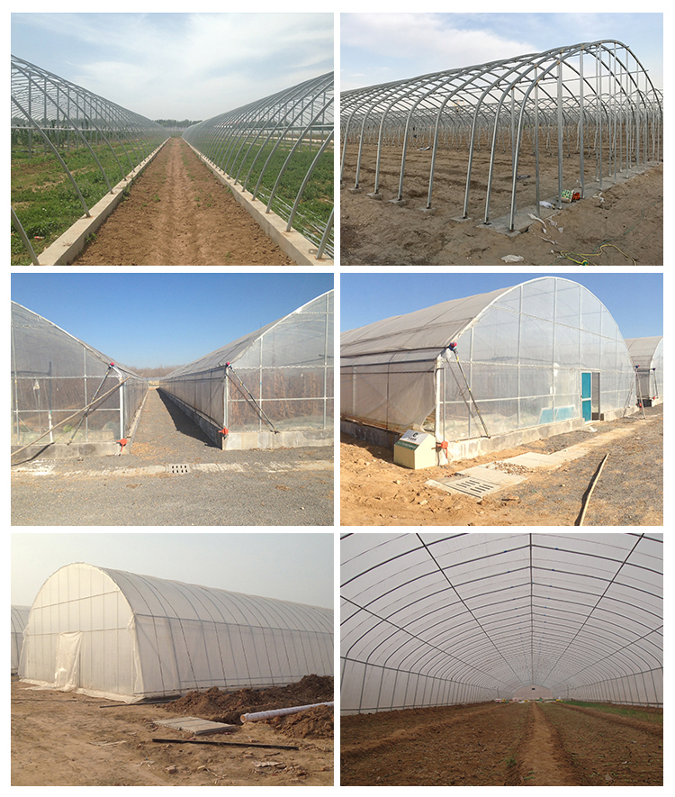 Insulation Agricultural Plastic Film Greenhouse for Single-Span at in 6m 8m 10m Width