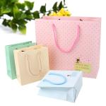 Gold stamping logo printing fashion luxury biodegradable jewelry paper gift bag