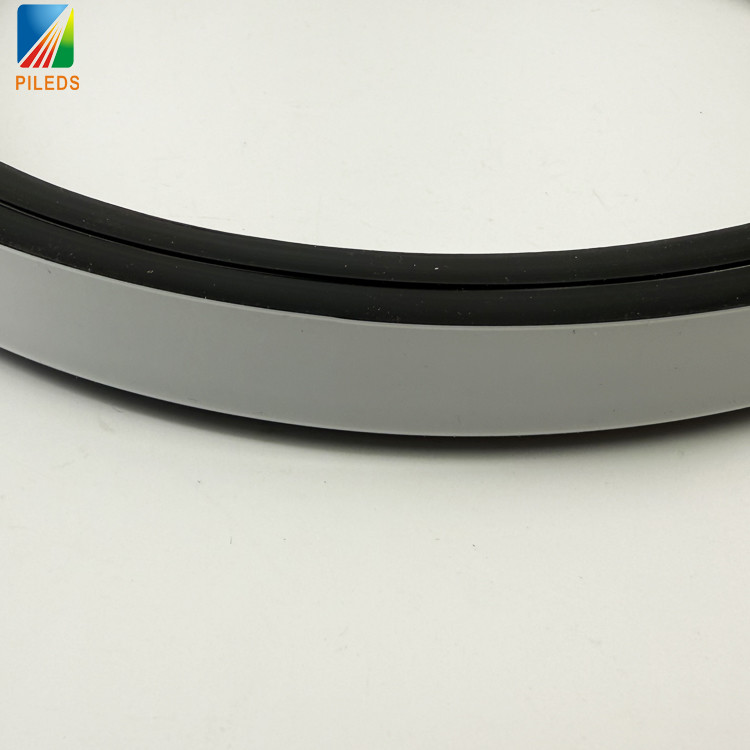 WS2811 SPI 12V/24V Addressable Custom Flexible Waterproof Black Silicone RGB LED Neon Light Strip Bars IP65 for Landscape
