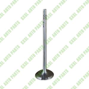  For Maserati Ghibli Levante Quattroporte 3.0T 2014- Inlet Valve Cylinder Head Intake Valve OEM 282643 282644 Manufactures