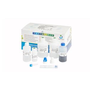  40T/Kit Sperm DNA Fragmentation Kit Manufactures