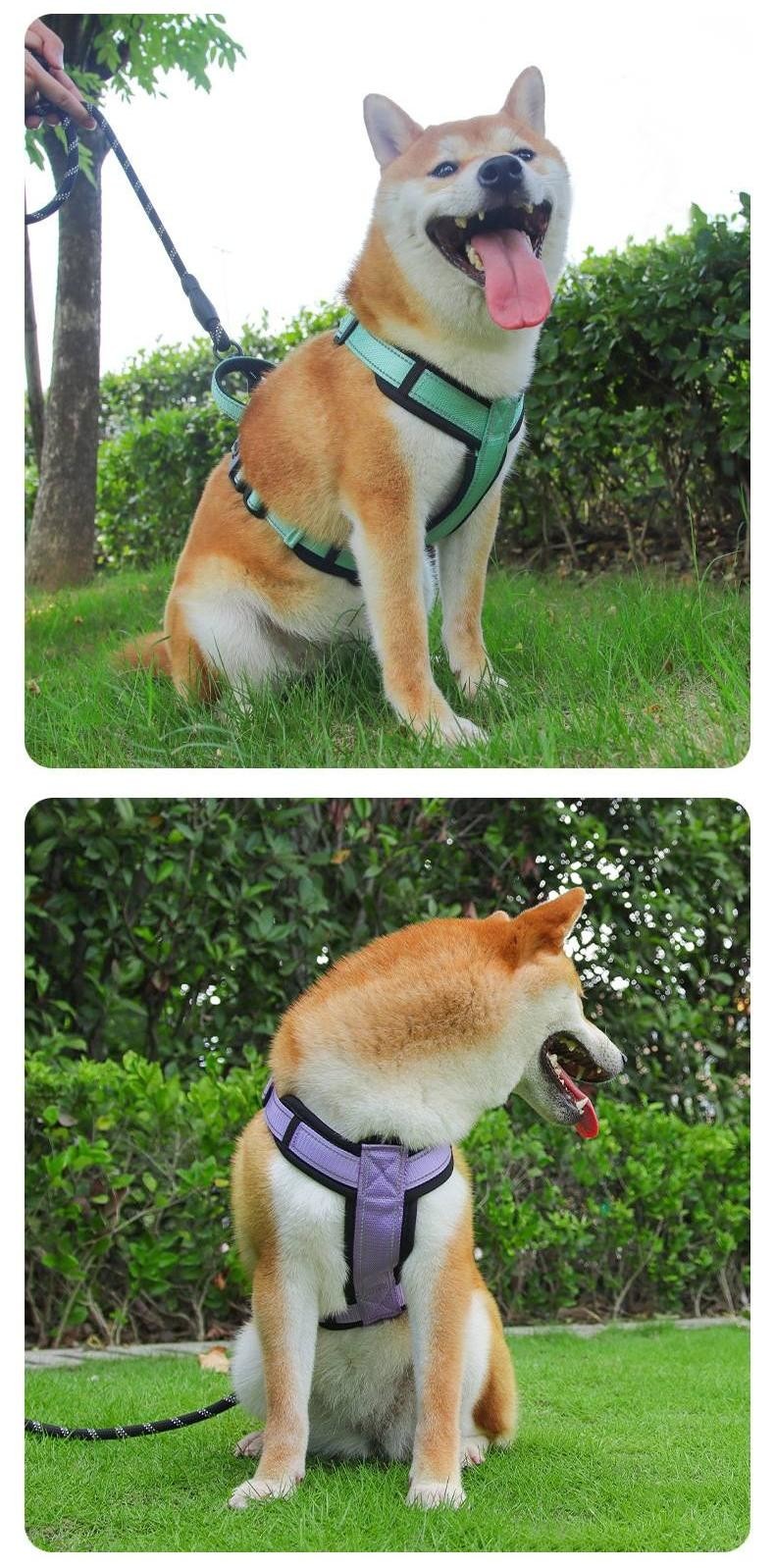 Reflective Strips Milk Silk Design Pet I Shaped Harness Leash For Dogs