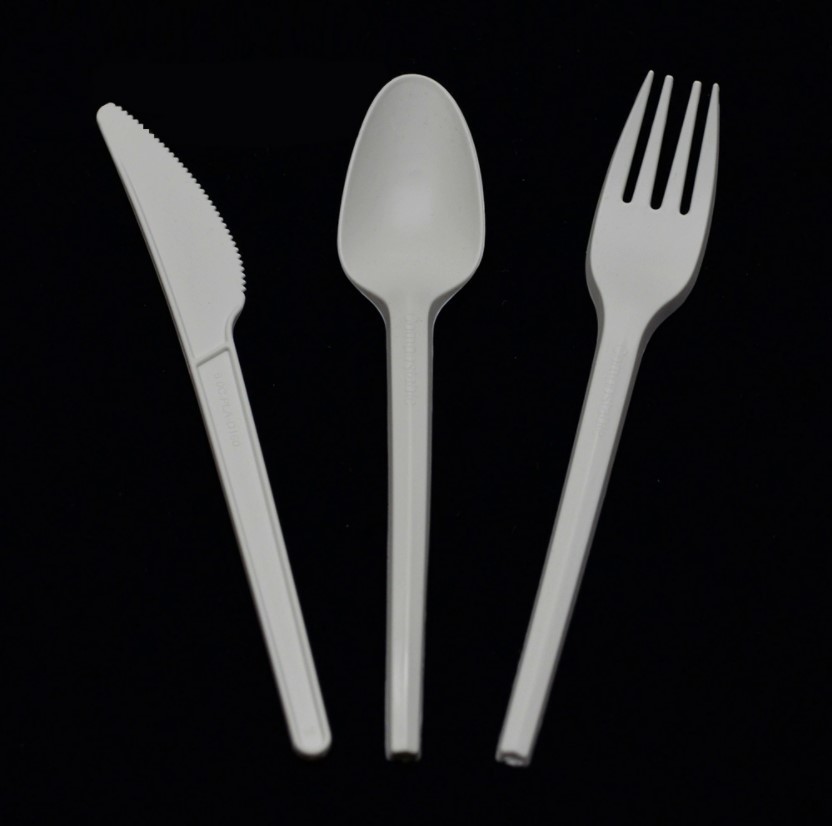 Environmentally Friendly Disposable PLA Cutlery 6'' Takeaway