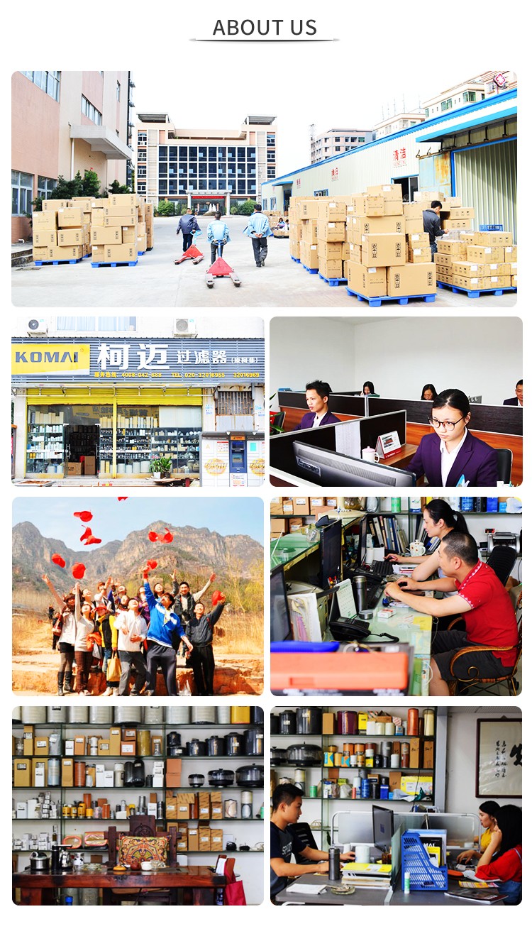 Cartridge Type Car Diesel Engine Oil Filters For Lubriion Systems Long Service Life