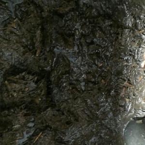 4 Bar Digester Feed Biogas Pump FKM Rubber Multipurpose Stable