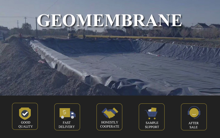 GB/ASTM GRI-GM13 Standard Pond Fish Liner Cistern Geomembrane for Industrial Design