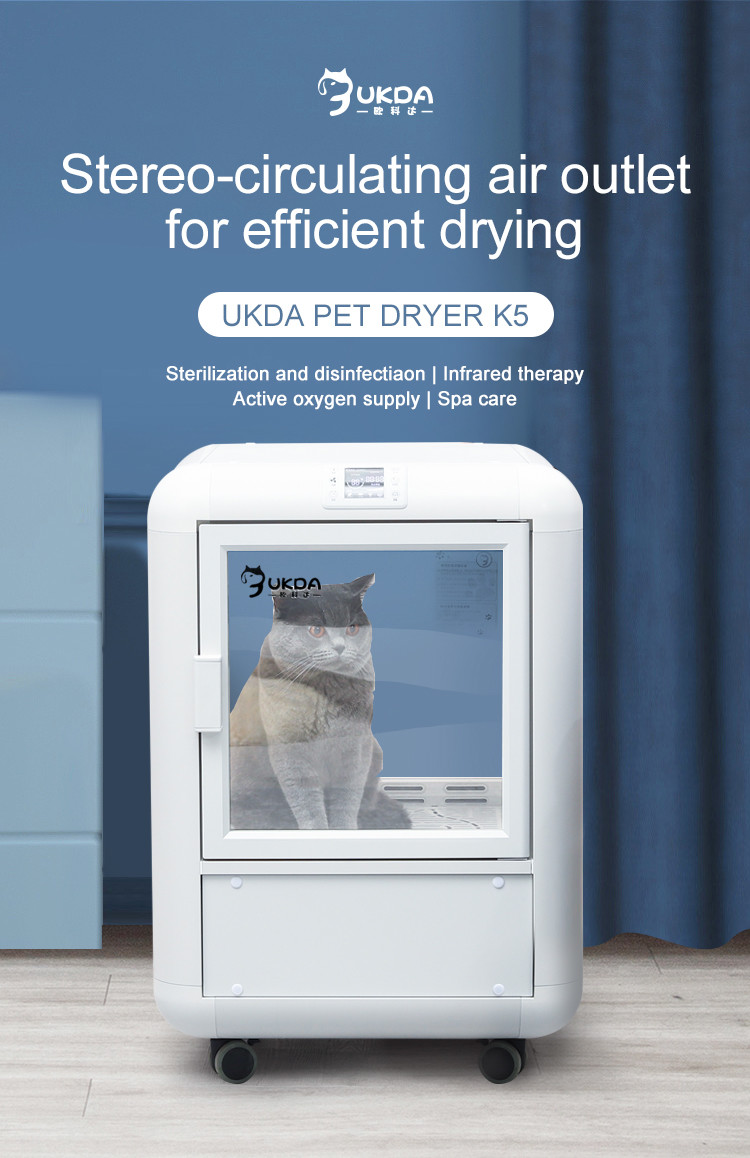 Blue PET Drying Room box PTC Air Bath Constant Temperature Energy Saving