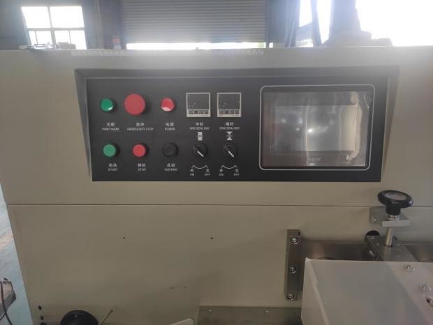 Automatic 220V Pillow Packing Machine Frozen Food Dumpling Packing Machine