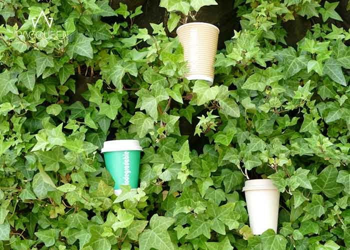 Single Wall Biodegradable Compostable Paper Cups Green Drinking Cup 4oz - 22oz