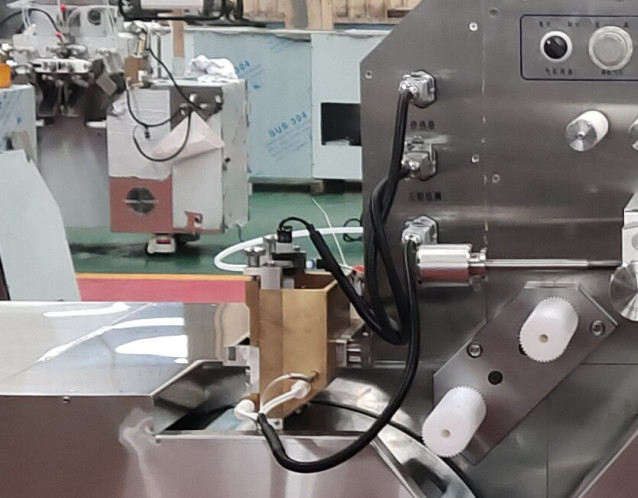 Servo Motor Softgel Manufacturing Equipment SS304 SS316L