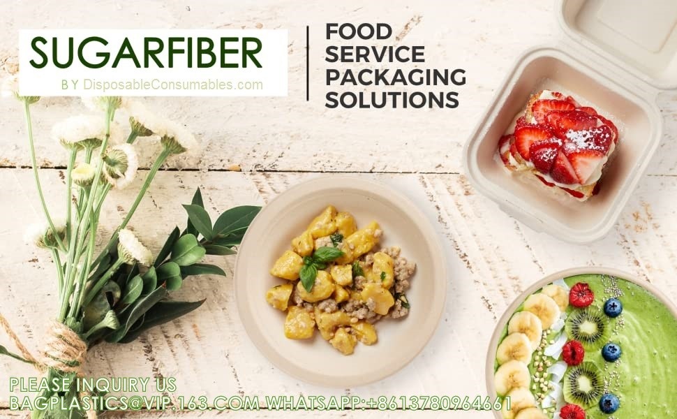 Wholesale Sugarcane Bagasse Pulp Lunch Box Takeaway Food Container Diaposiable Recyclable Sugarcane Packaging Box