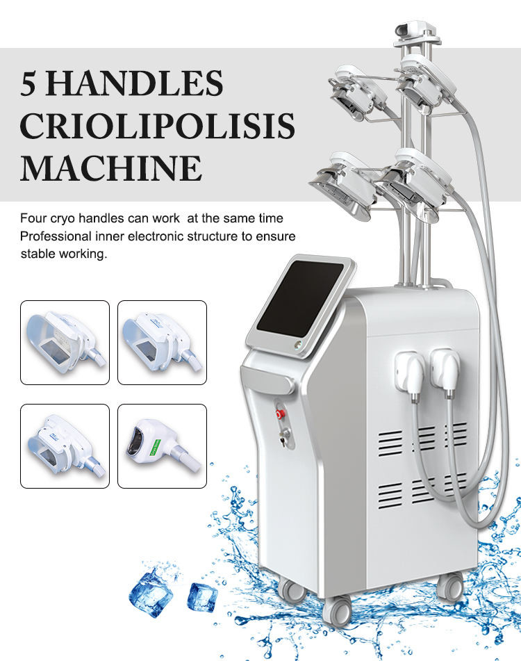 1600W 5in1 Cryolipolysis Vacuum Machine Weight Loss 12 Inch Touch Screen
