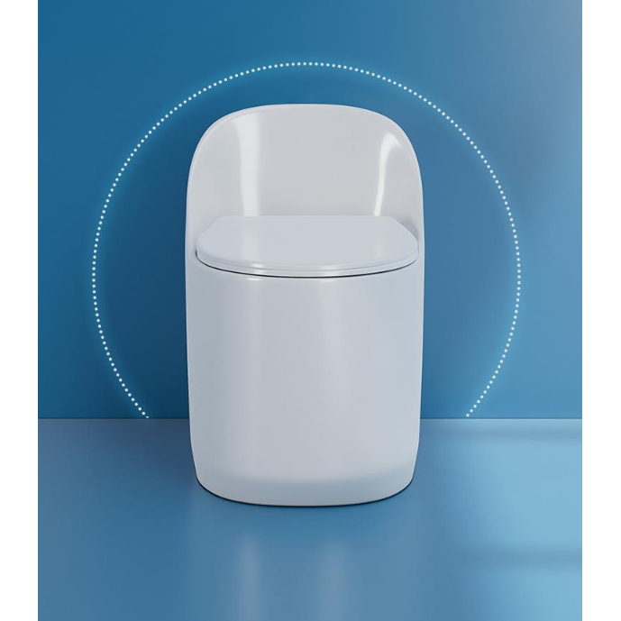 Slowly Closing Seat Cover One-Piece Elongated Non-Electric Toilet for American Market