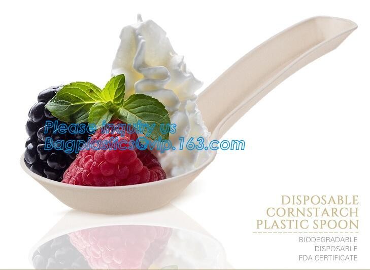 Meal Prep Containers Free Sample Bento Lunch Box Biodegradable Food Container Plastic Wheat Straw Lunch Box bagplastics