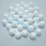 Expandable Polystyrene Foam Batch Pre-Expander Machine with Customization