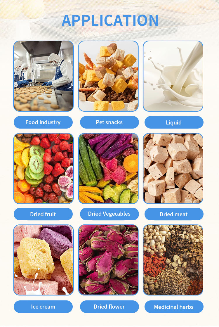 Lcd Display Food Vacuum Freeze Dryer For Food Preservation