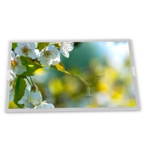  3.0-Inch WLED TFT WLED TFT LCD Display Module T-55149GD030J-MLW-AJN 240*400 Resolution Specific Application for ODM Suppliers Manufactures