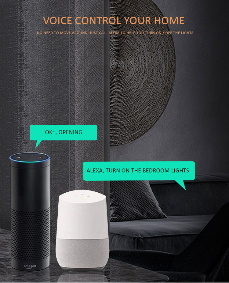 Smart Home Us Oem Wireless Touch Remote Controller Wall 2 Gang Switches Socket Alexa Smart Home Zigbee Light