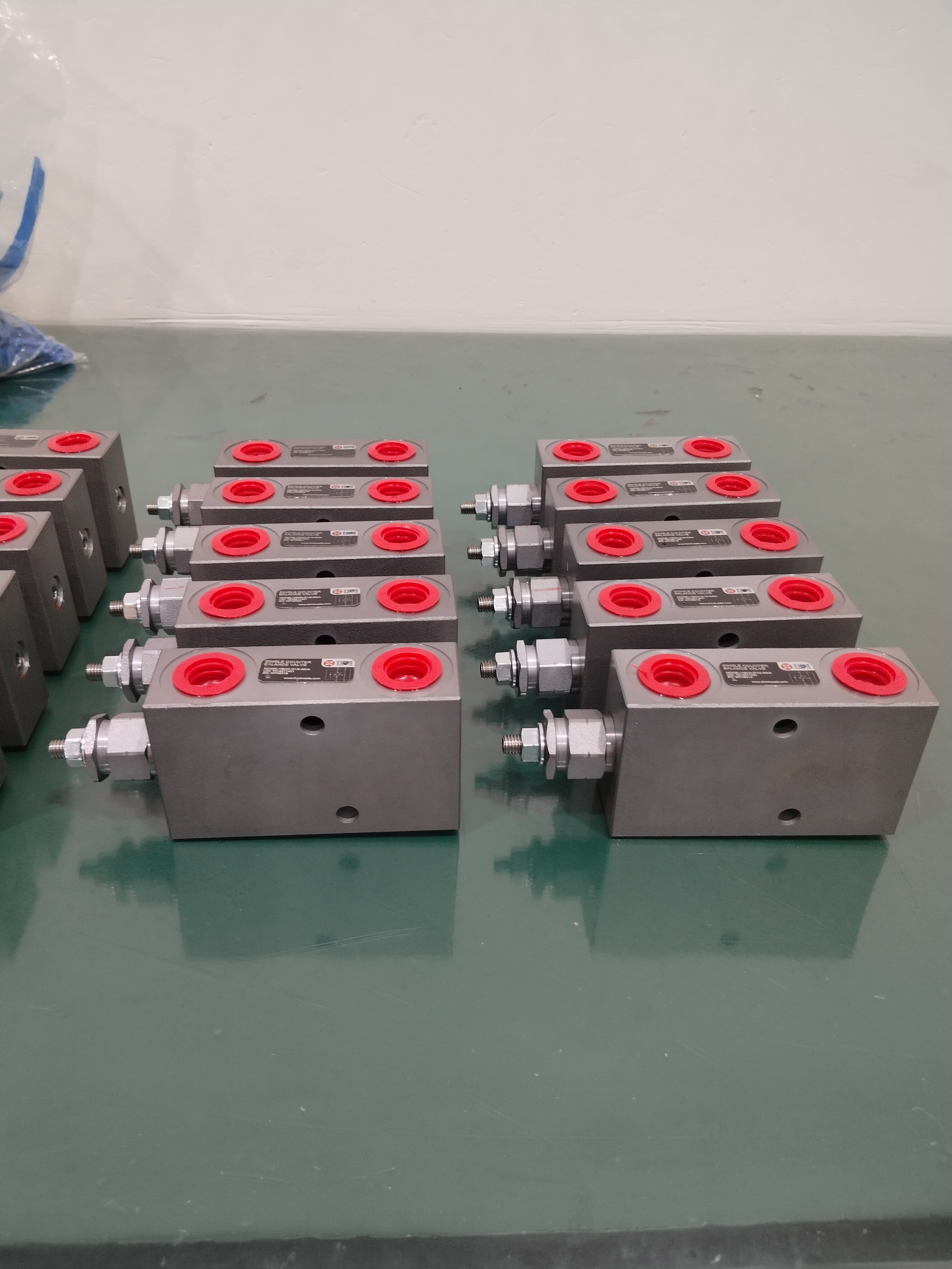 Customized OEM ODM Hydraulic Counter Balance Overcenter Valve With Hard Treatment Single Or Double Cartridge