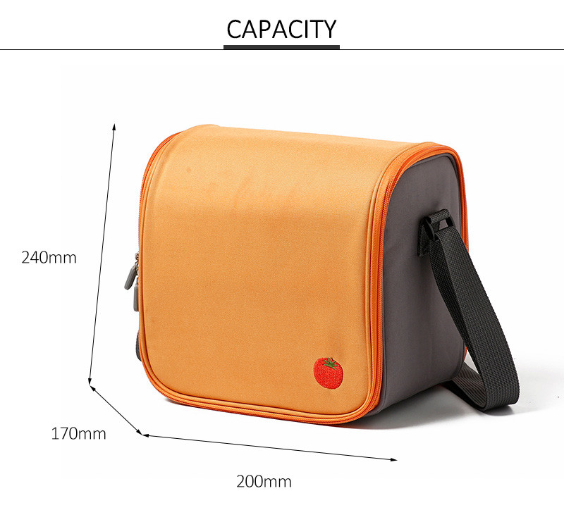 Portable Waterproof Insulated Eco Picnic Cooler Bag