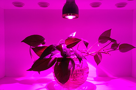 5G GrowSun Series, 6-bands full spectral from 400-760nm & white for the best grow effect.