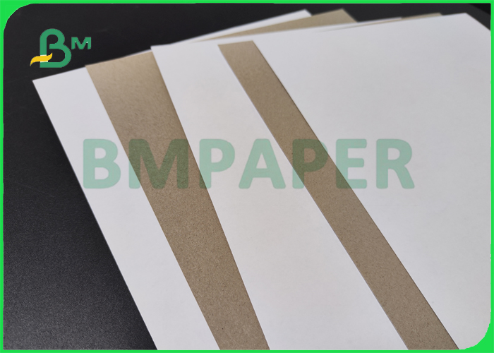 300gsm 350gsm Coated Duplex Board For Shoes Box 24" x 36" Good Printability