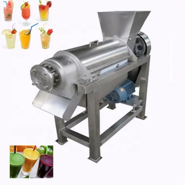 304 Stainless Steel Coconut Milk Screw Industrial Fruit Apple Watermelon Orange