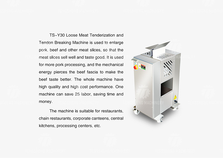 75KG Large automatic meat stripping machine commercial tenderizing meat stainless steel equipment