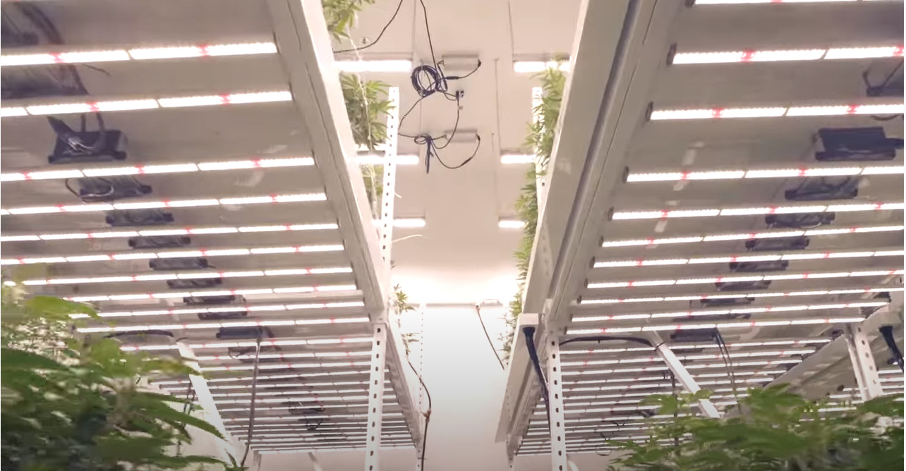 8 Bars L 2.8umol/J 680nm 600w Led Grow Lights