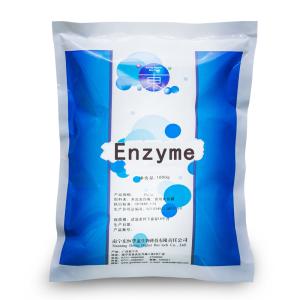 Food Baking And Processing Xylanase Enzyme Activity Can Be Customized