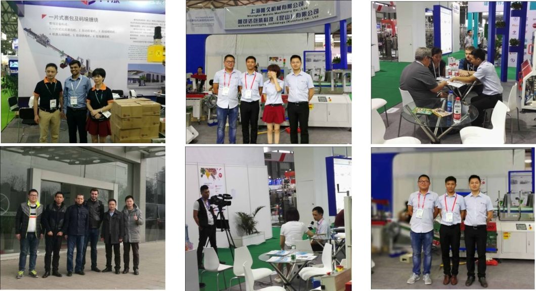 (WJ-MD-40) Floor-Level Palletizer/Palletizing Machine