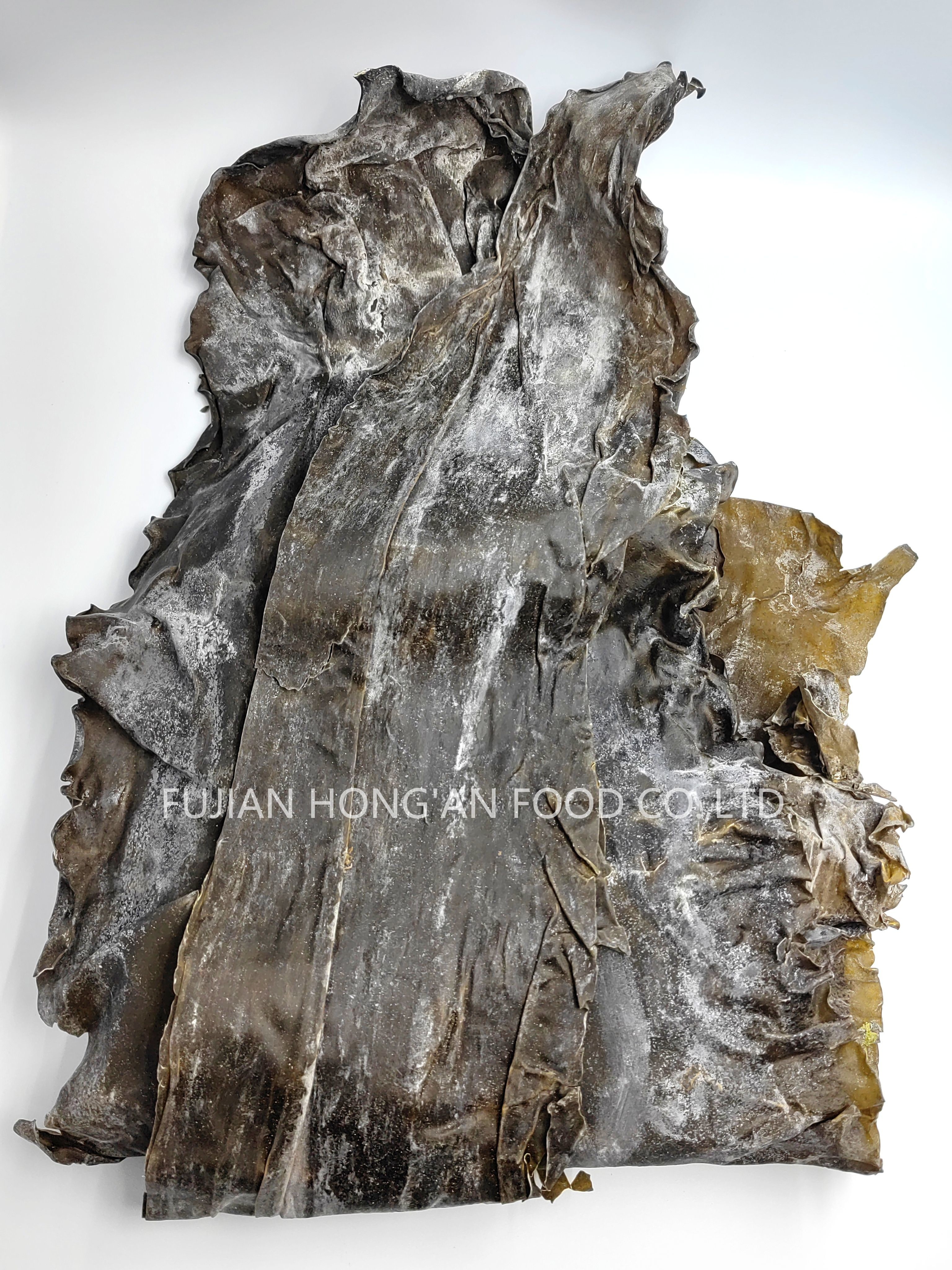 Japanese Ingredient Brown Algae Dried Kelp Kombu Sprouts Nutrient Rich Superfood With HACCP Certification