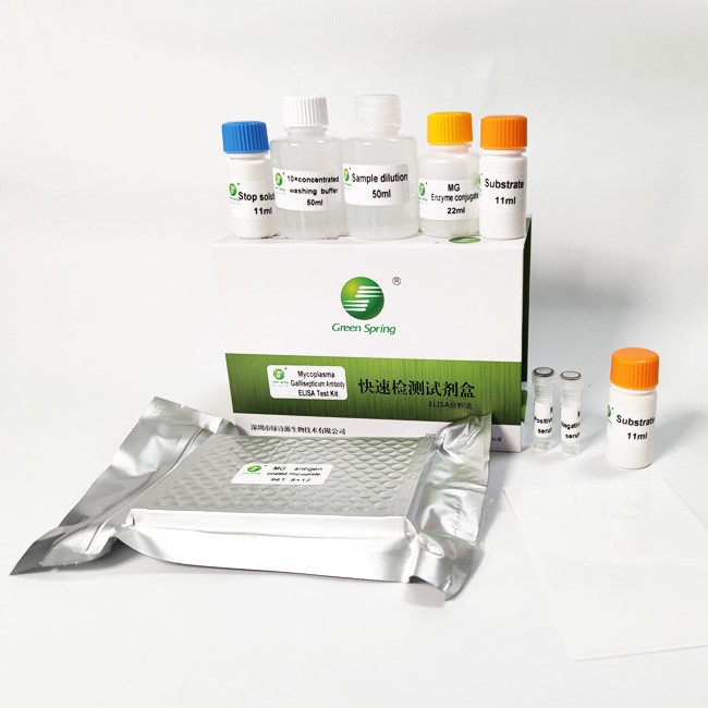 96 Wells/Kit Mycoplasma Gallisepticum MG Avian Influenza Rapid Test Kit For Poultry