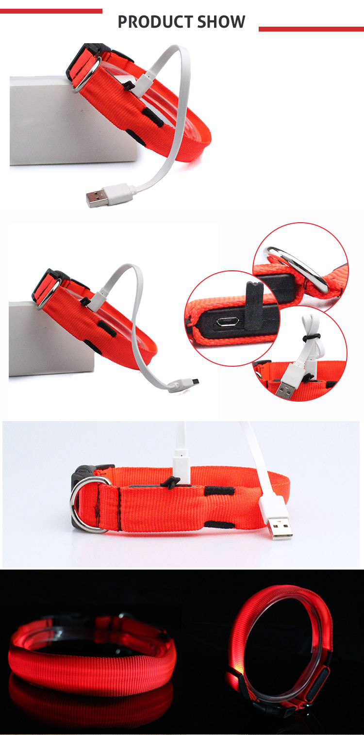 Glow In Night Waterproof Light Up Dog Collar Usb Rechargeable Dog Collar