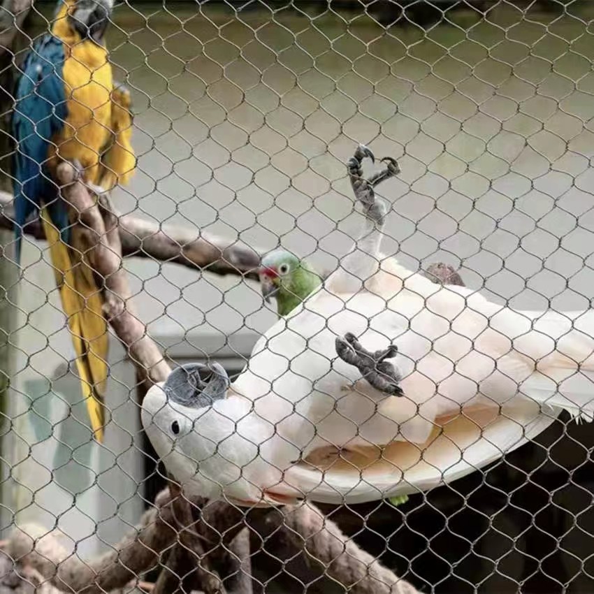 Zoo Stainless Steel Rope Wire Mesh / 7x19 Stainless Steel Bird Netting