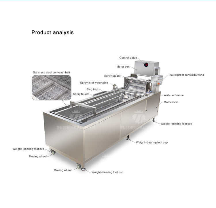 240KG SUS 304 Vegetable And Fruit Washing Machine Orange Cleaning Machine