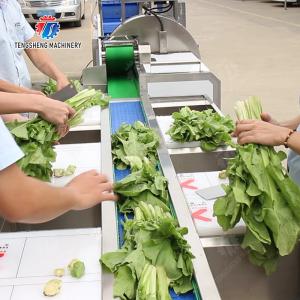 Fruit and vegetable selection, cutting and washing production line Fruit