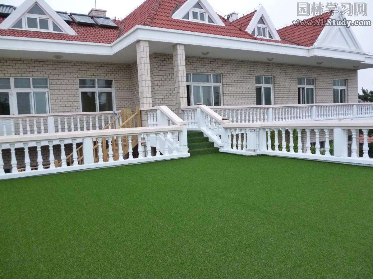 2M Or 4M Wide Synthetic Outdoor Carpet / Home Real Grass Carpet Roll