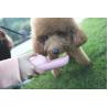 Buy cheap Pink Foldable Dog Water Bottle Dispenser Small Dog Mini Portable pet Kettle from wholesalers