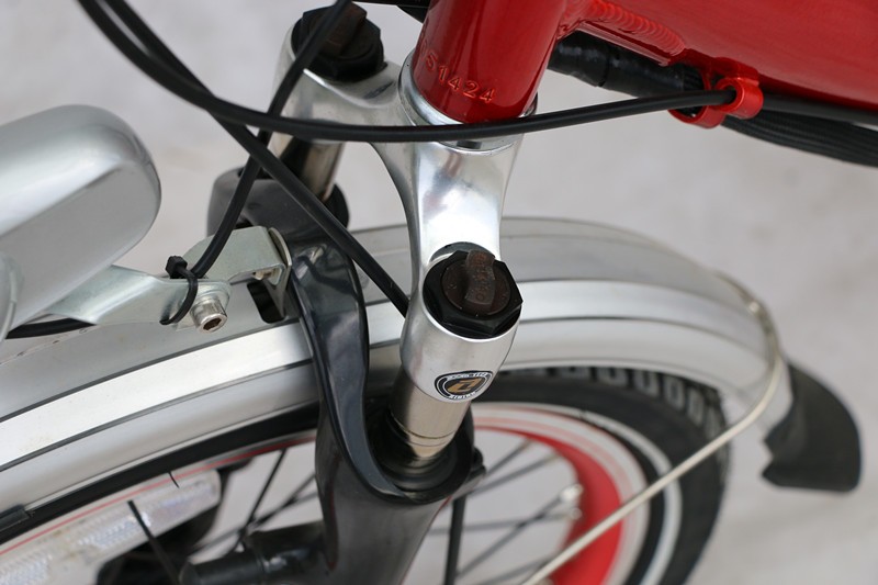 Competitive Israel Electric Bike with Down Tube Battery Position and Charging Time 3 Hours