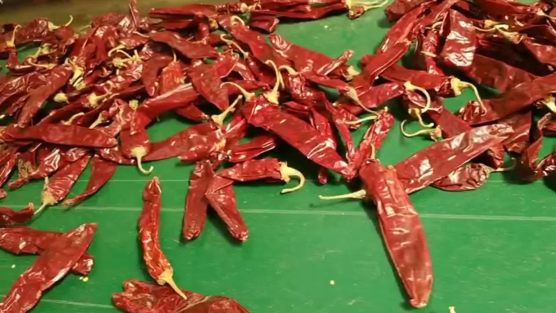 Stemless Dried Paprika Peppers